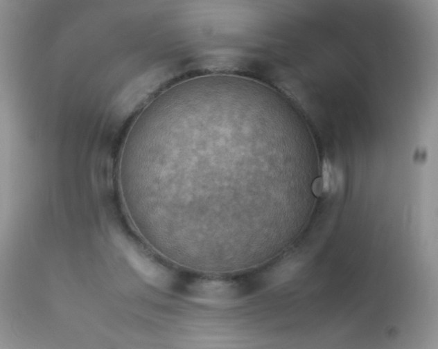 X0000114220205200910091355