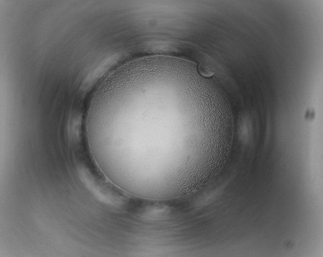 X0000114220206200910091355