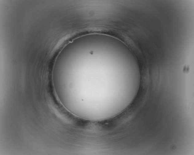 X0000114220207200910091355