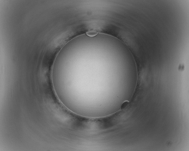 X0000114220209200910091355