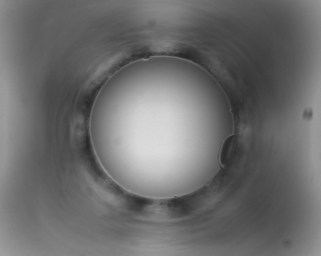 X0000114220211200910091355