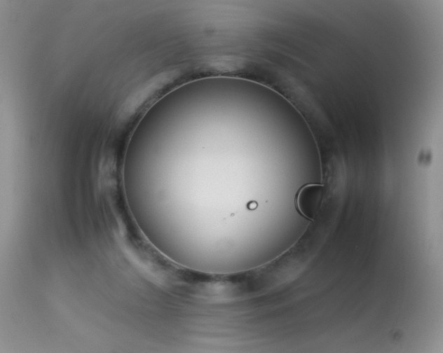 X0000114220212200910091355