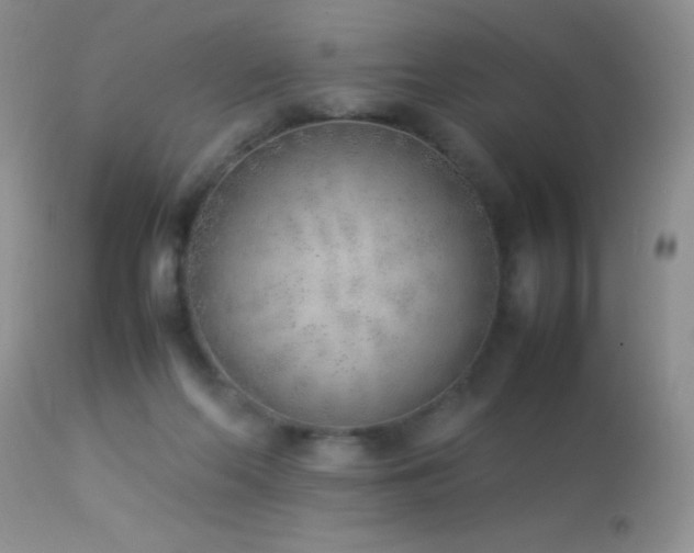 X0000114220214200910091355