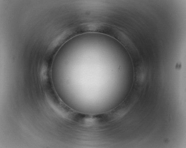 X0000114220216200910091355