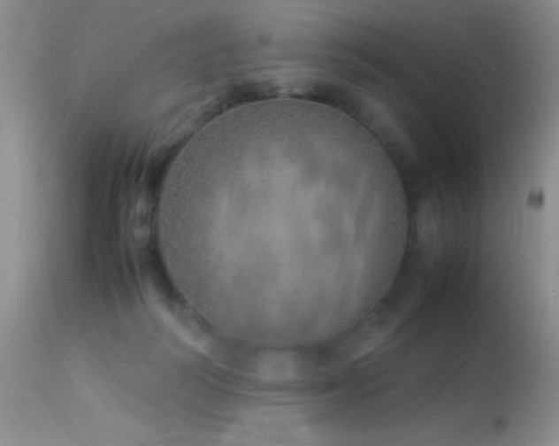 X0000114220218200910091355