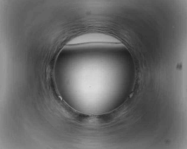 X0000114220219200910091355