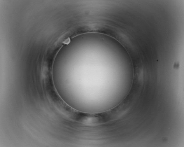 X0000114220220200910091355