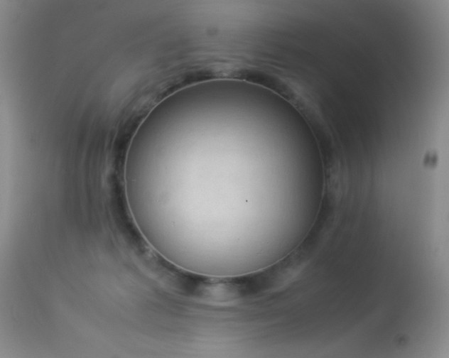 X0000114220221200910091355