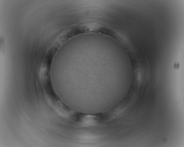 X0000114220222200910091355