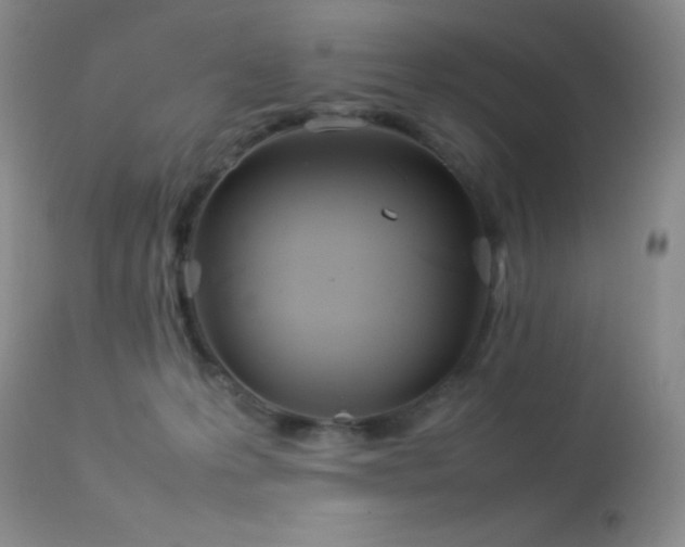 X0000114220223200910091355