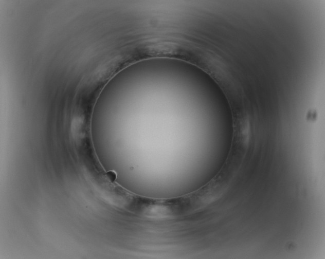 X0000114220224200910091355