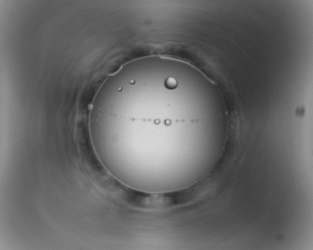 X0000114220225200910091355