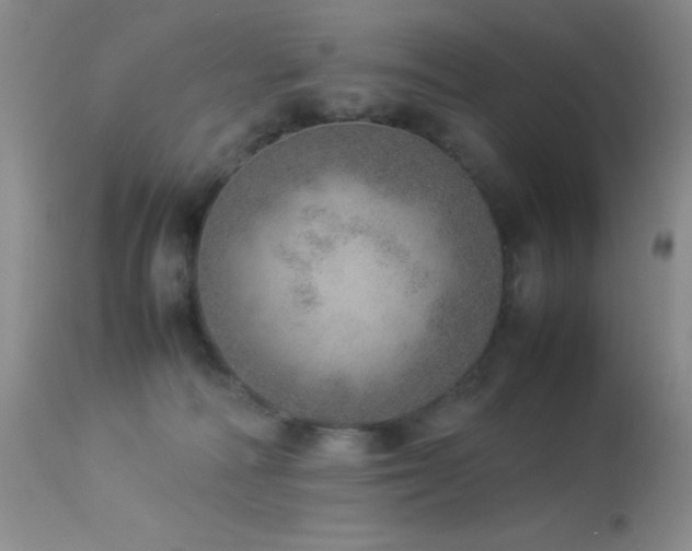 X0000114220226200910091355