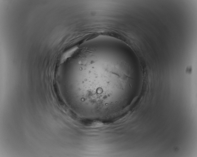 X0000114220227200910091355