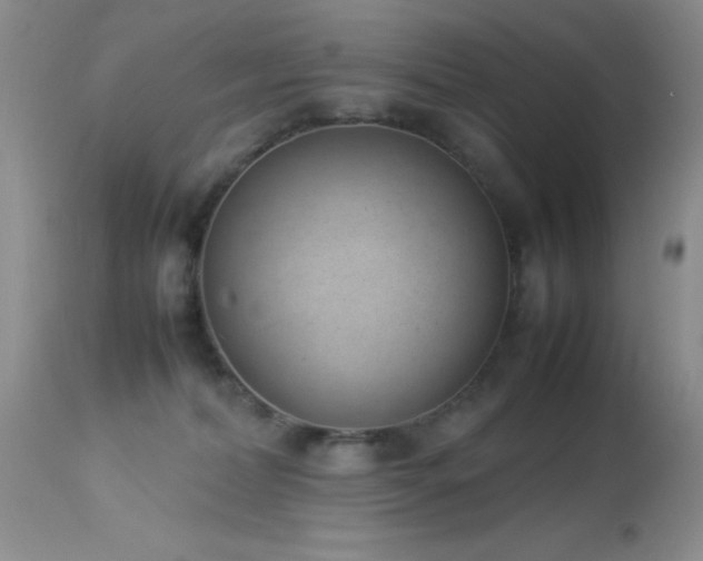 X0000114220228200910091355