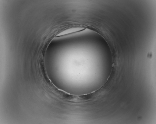 X0000114220229200910091355