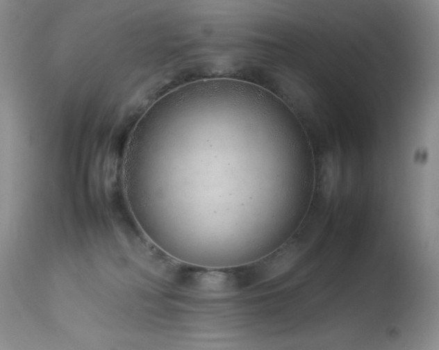 X0000114220230200910091355