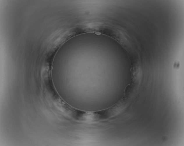 X0000114220231200910091355