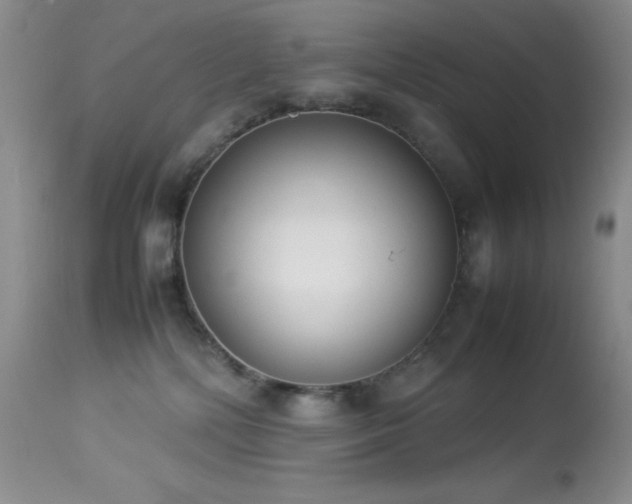 X0000114220232200910091355