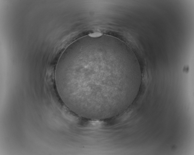 X0000114220233200910091355