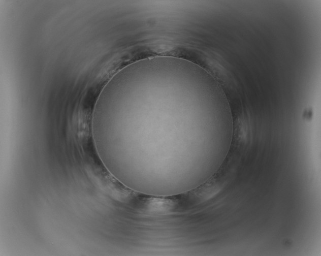 X0000114220234200910091355