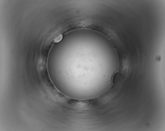 X0000114220236200910091355