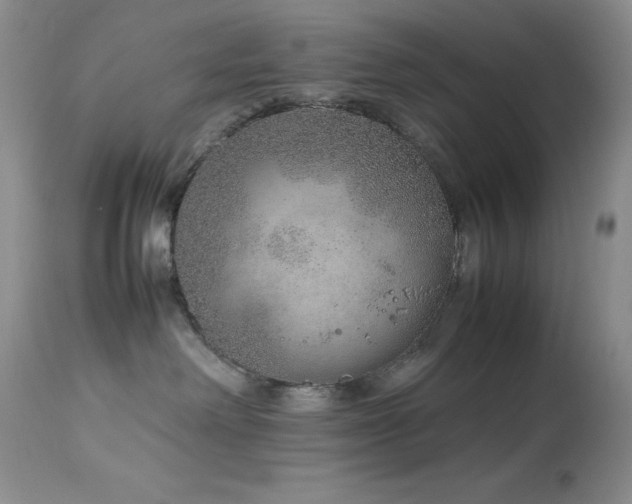 X0000114220238200910091355