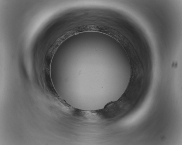 X0000114220239200910091355