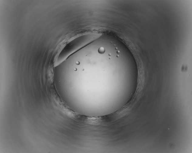 X0000114220240200910091355