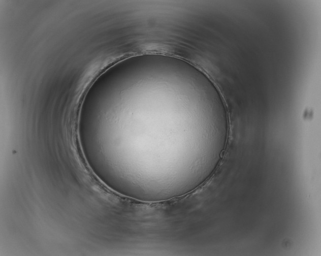 X0000114220241200910091354