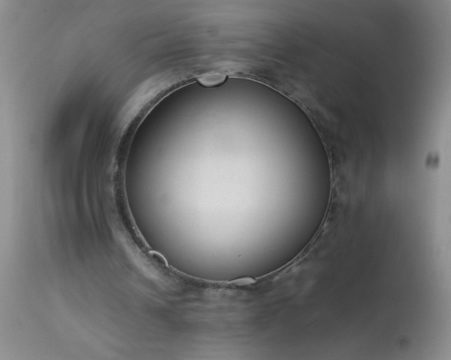 X0000114220242200910091354