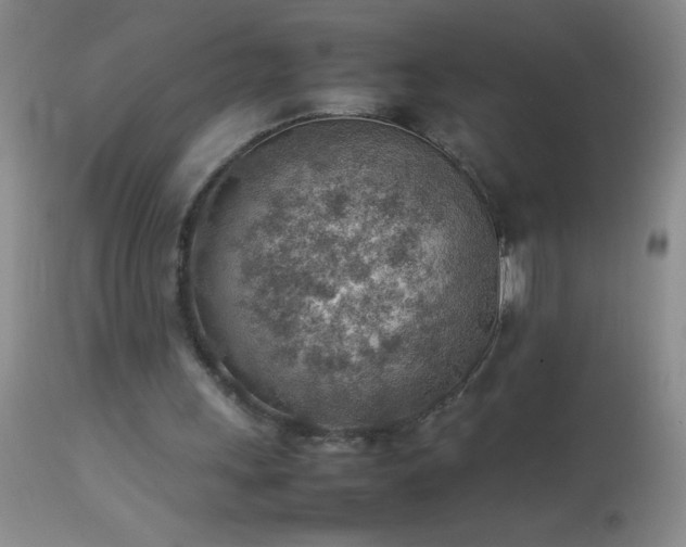 X0000114220243200910091354