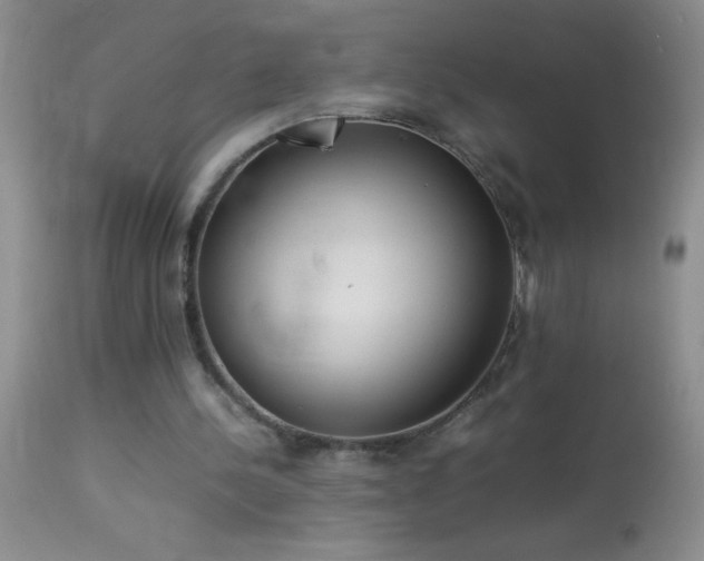 X0000114220244200910091354