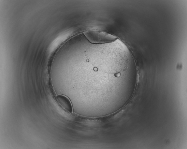 X0000114220245200910091354