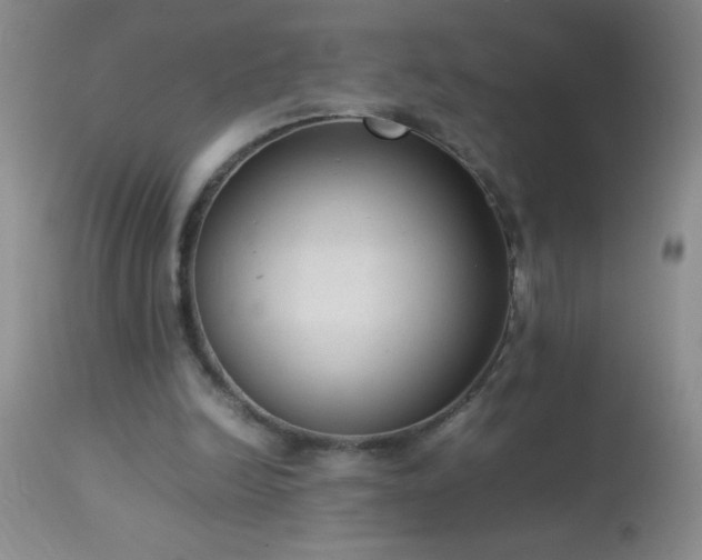 X0000114220246200910091354