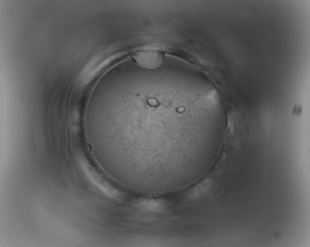 X0000114220247200910091354