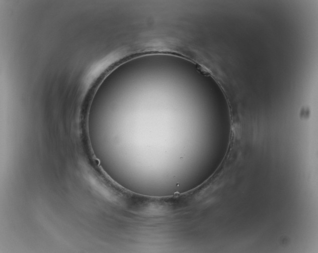 X0000114220248200910091354