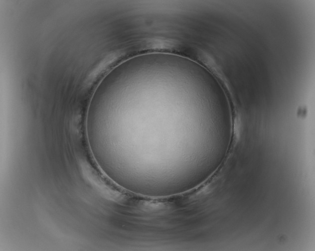 X0000114220249200910091354