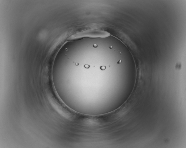 X0000114220250200910091354