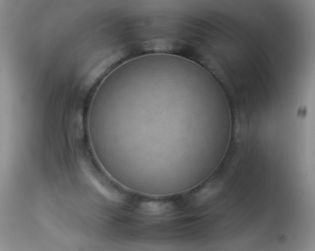 X0000114220251200910091354