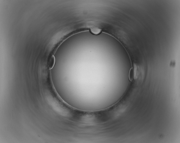 X0000114220252200910091354