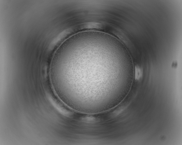 X0000114220253200910091354