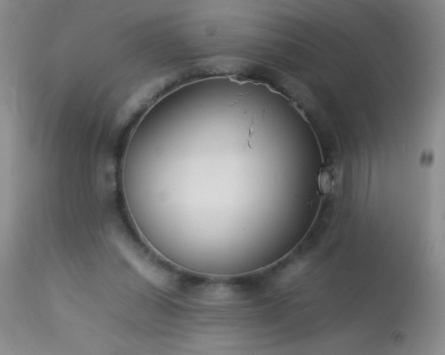 X0000114220254200910091354