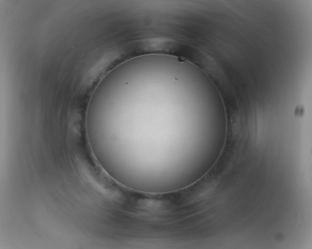 X0000114220255200910091354