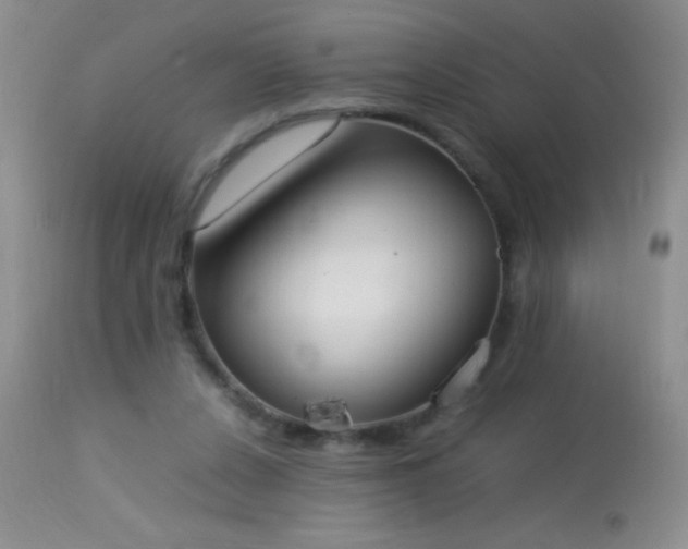 X0000114220256200910091354