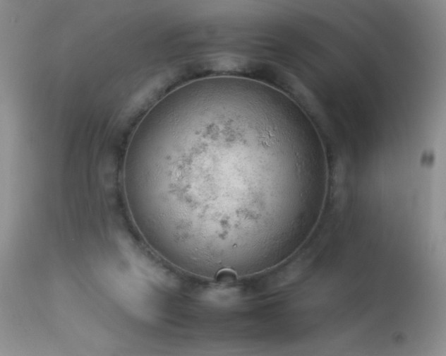 X0000114220257200910091354