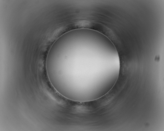 X0000114220259200910091354