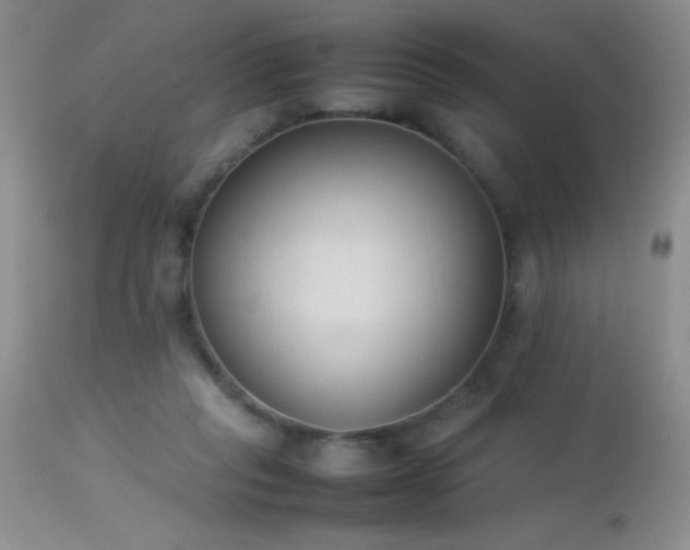 X0000114220261200910091354