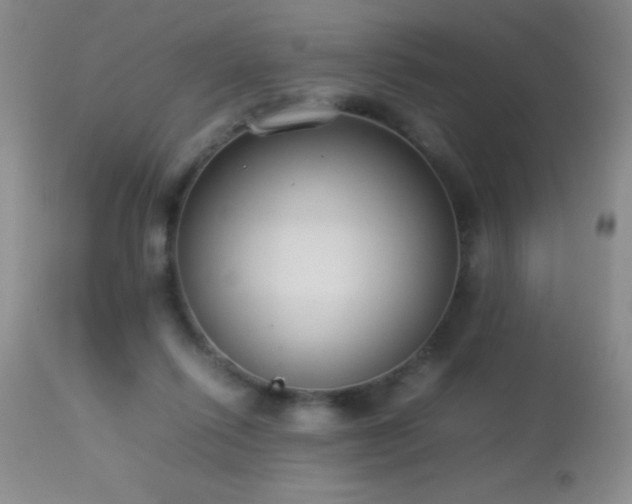 X0000114220262200910091354