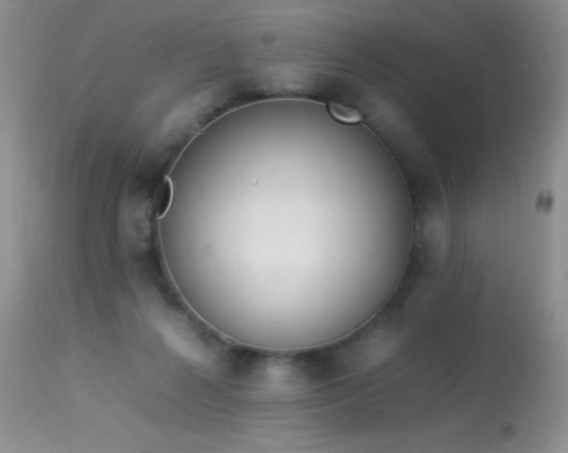 X0000114220264200910091354